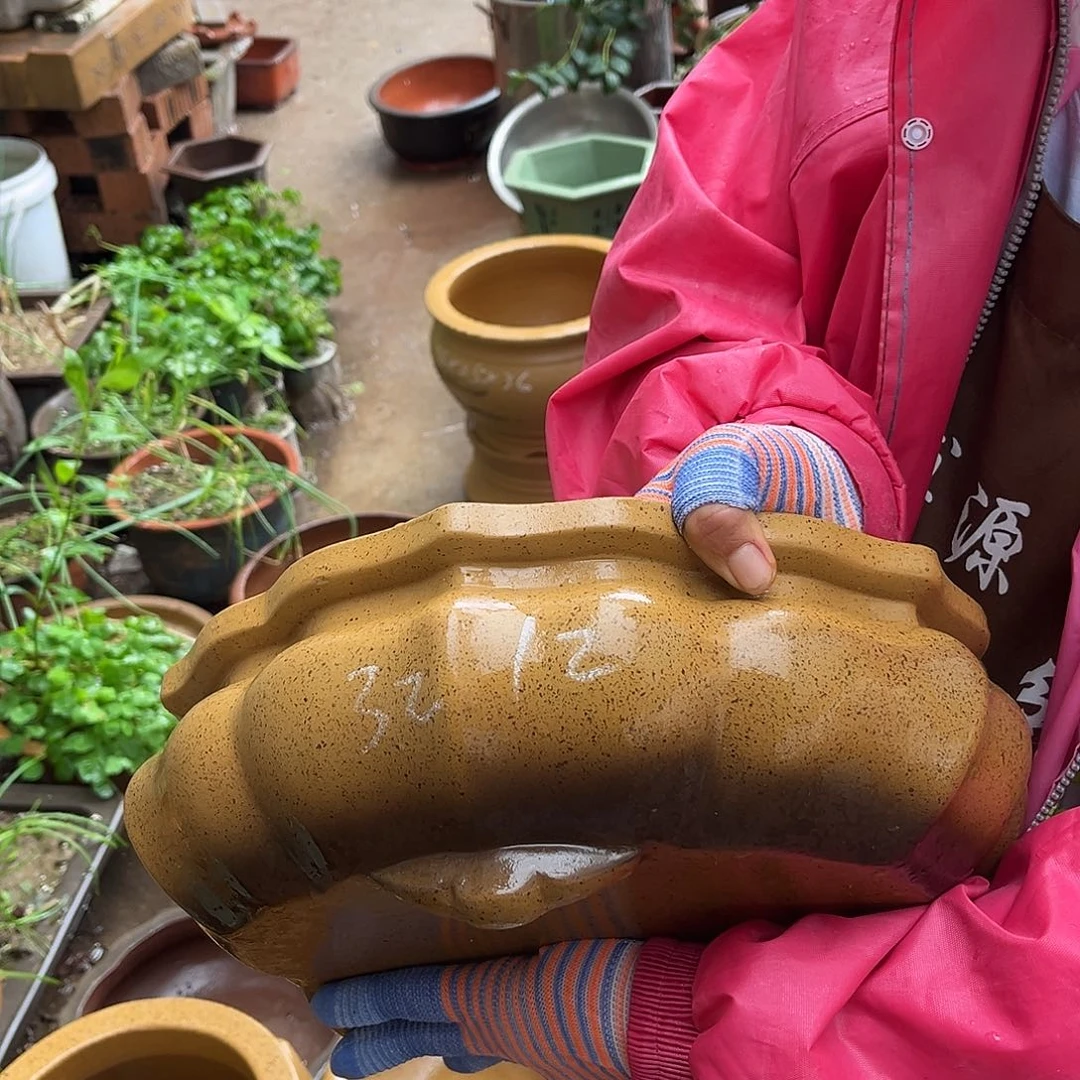 紫砂花盆盆景艺术