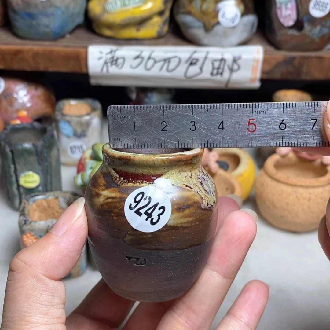拍5送一个小礼物