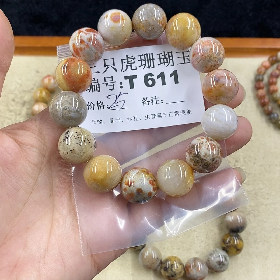 硅化珊瑚（珊瑚玉）1未镶嵌高*飞