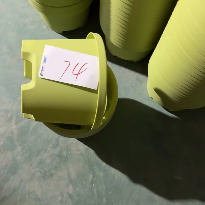 编号是74号的74号的