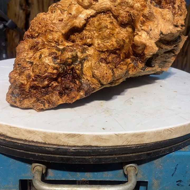 ～****～我们都是你的粉丝4