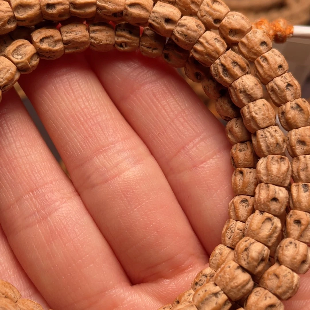 吊坠柏香籽/百香籽