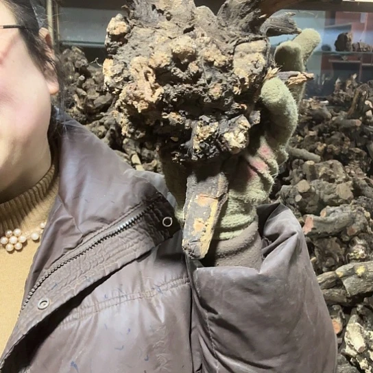 香榧木浮****梦火琉璃的故事毛料