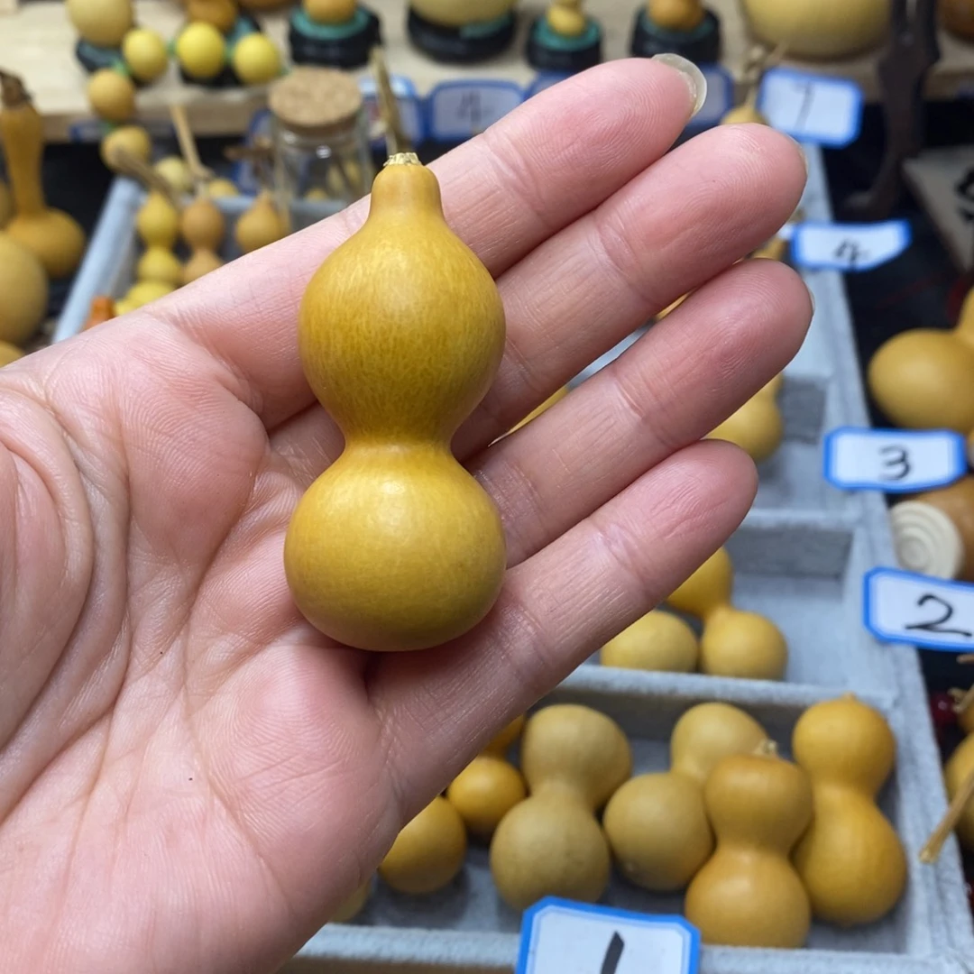 P**Y直播间手把手小葫芦
