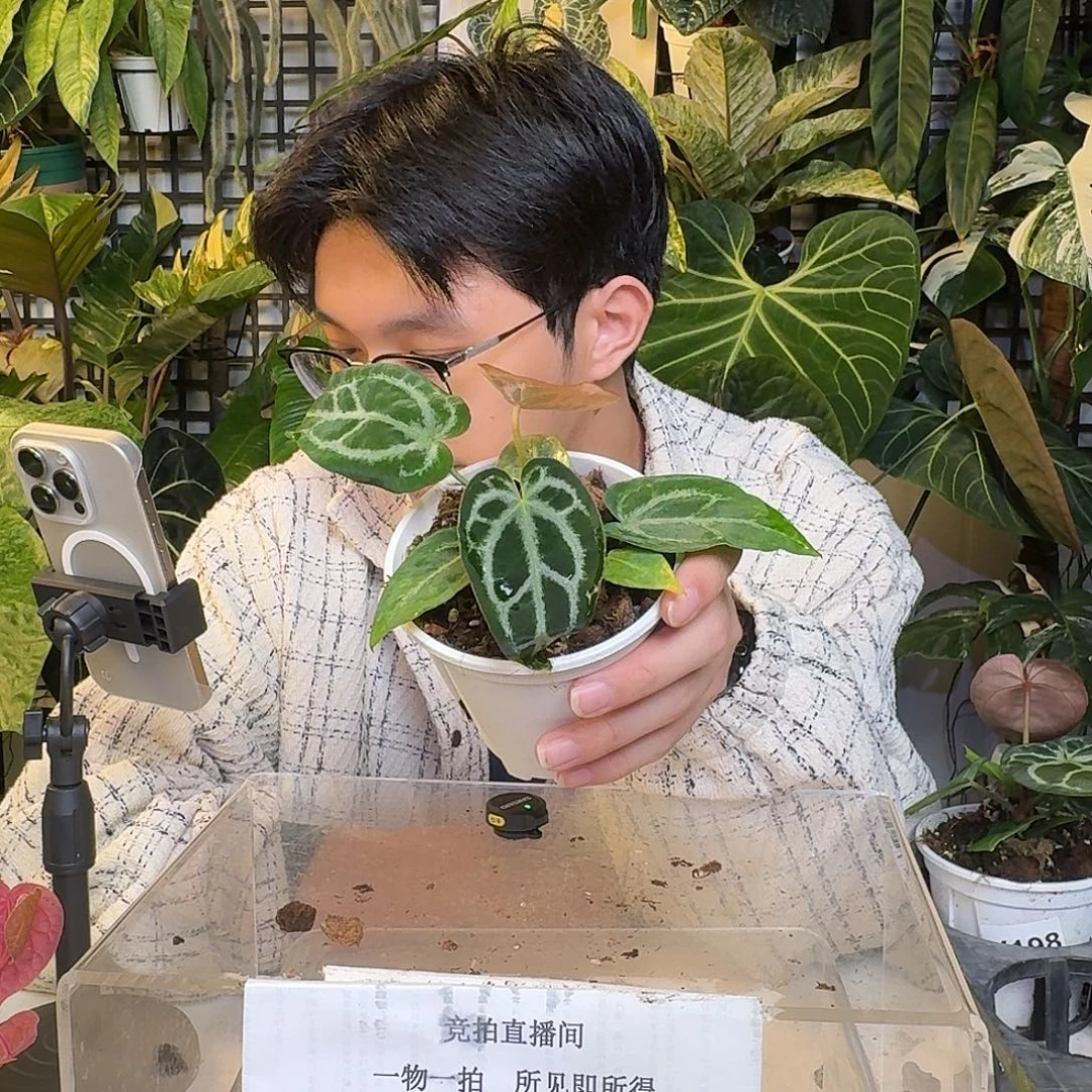 完全开放X52skg银杂撕裂纹