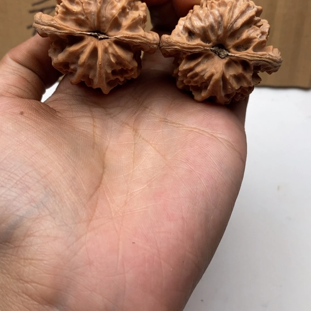知***饰桃核吊坠曹大龙核桃