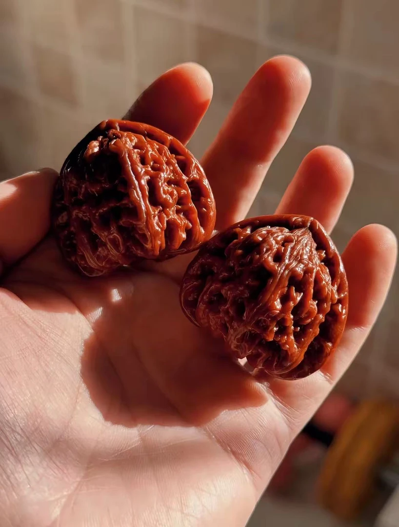 专属链接元宝两对白狮子一对