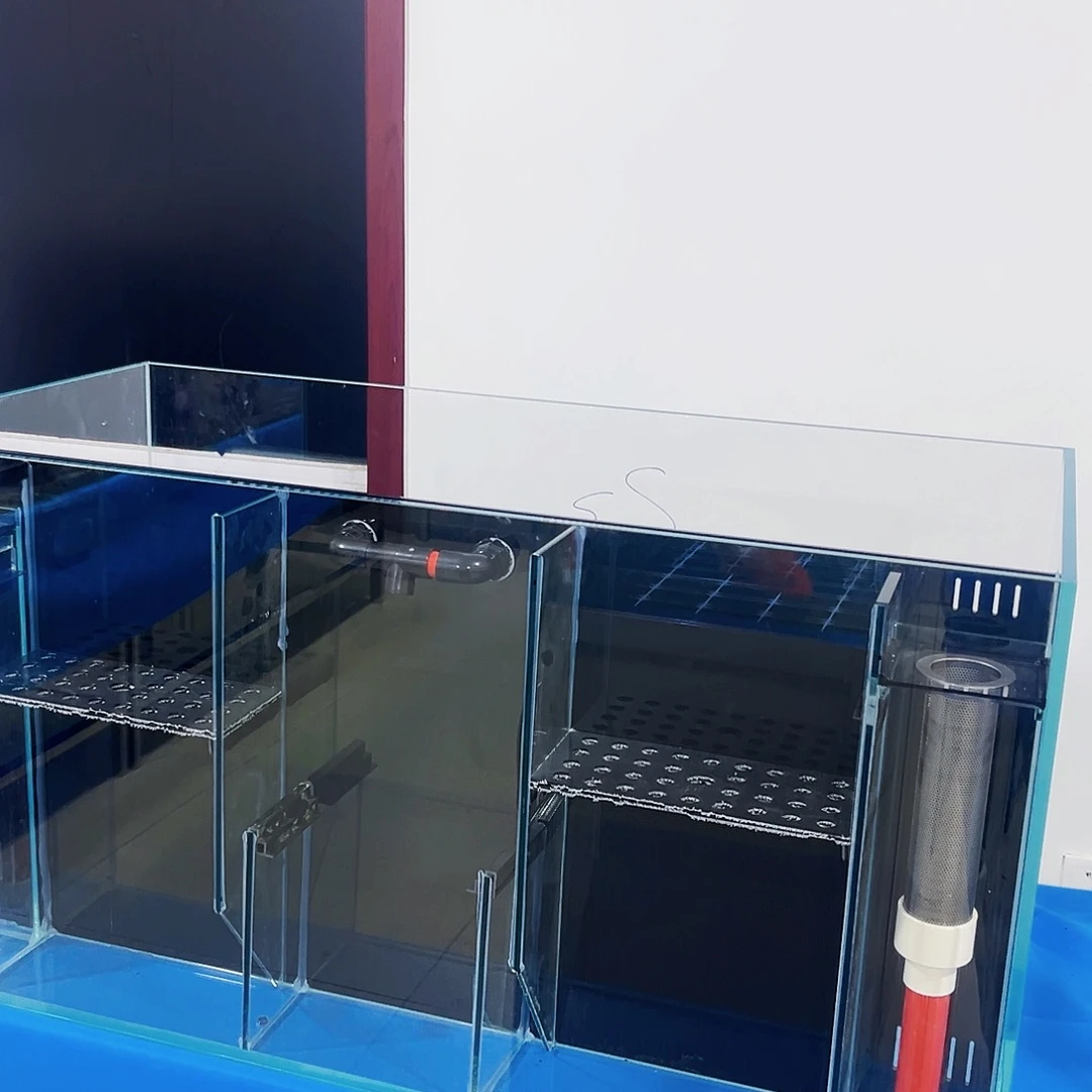 玻璃阿*100.50.50背新款鱼马桶