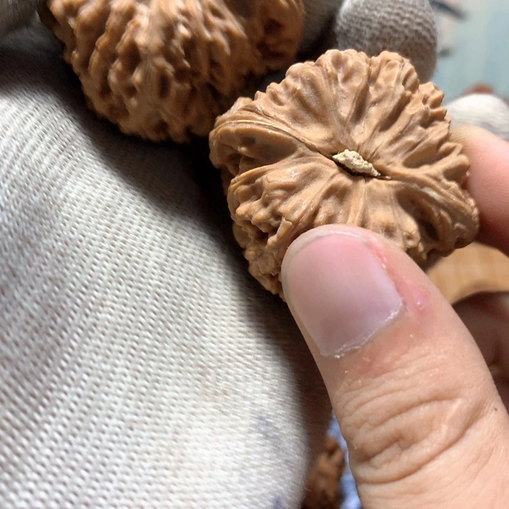 第***天哈哈哈哈哈哈哈哈哈哈哈哈