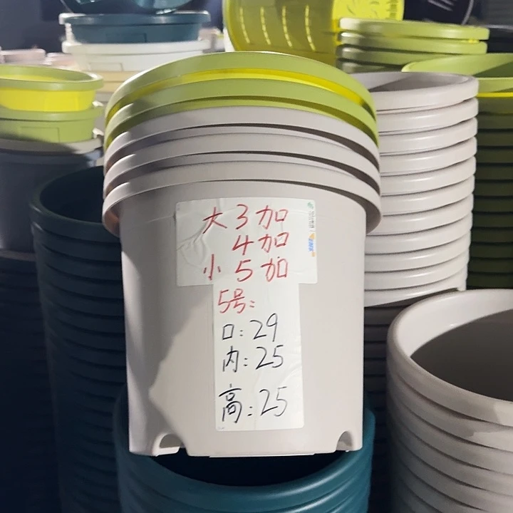 四季5#口径29灰白5个无托