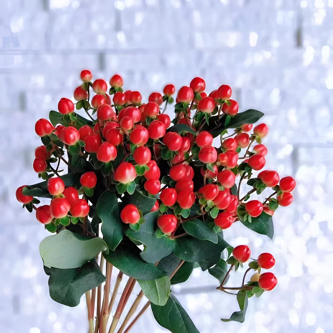 【满四件包邮送货上门】红豆鲜花 云南基地直发 一件也是批发价