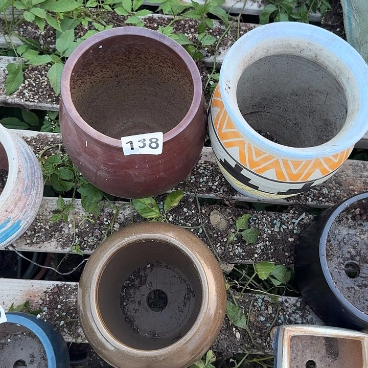 小***玉138花盆一个一物一拍