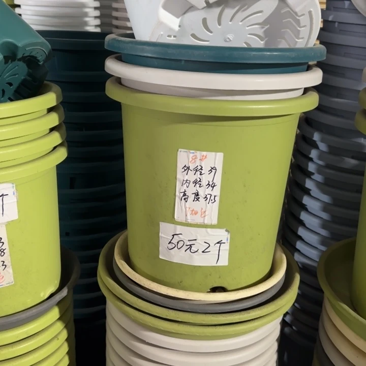 四季8#口径39无托果绿5个