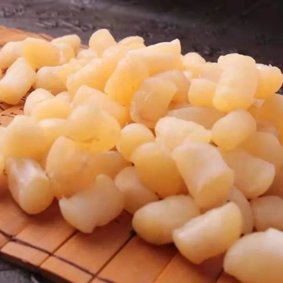 【到手一百只】渔民新晒干贝瑶柱半干扇贝柱新鲜日晒干贝煲汤