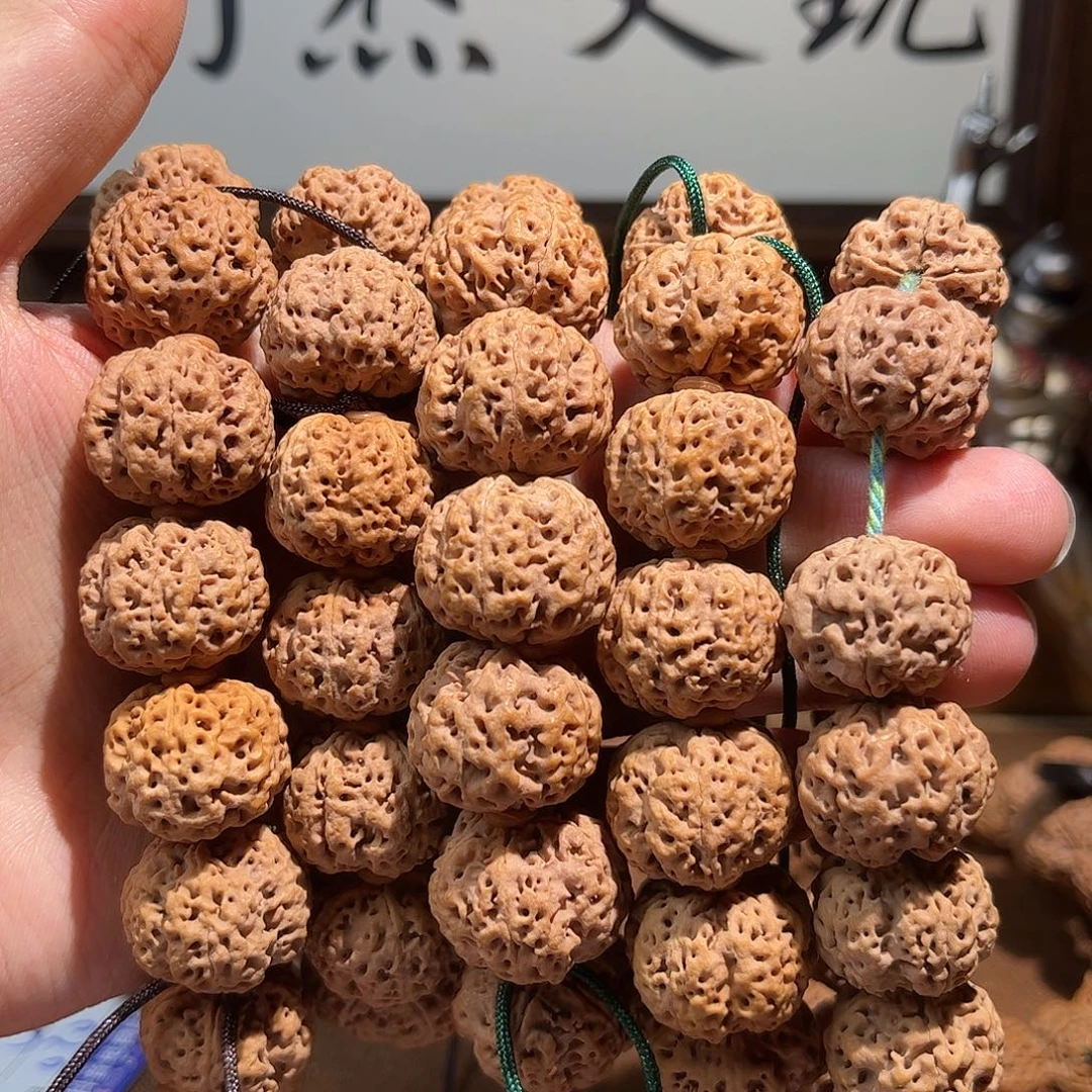 一***爪金刚菩提吊坠5条福利