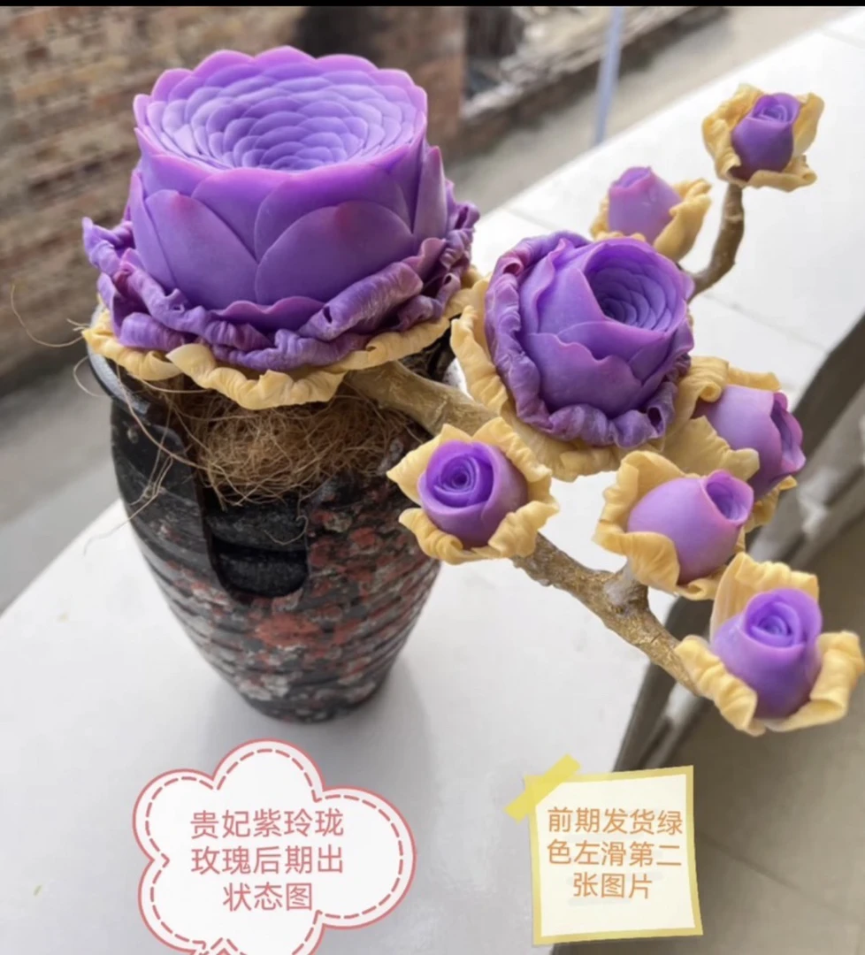 （凑满15元包邮）贵妃紫玲珑玫瑰多肉 绿色发货