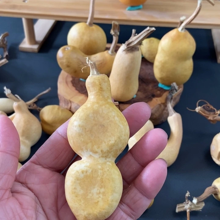 心***安sbzbjsjsnzzs