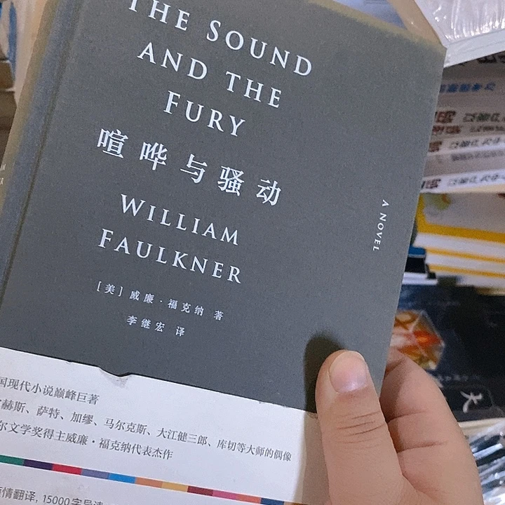 瑕疵  喧哗与骚动……