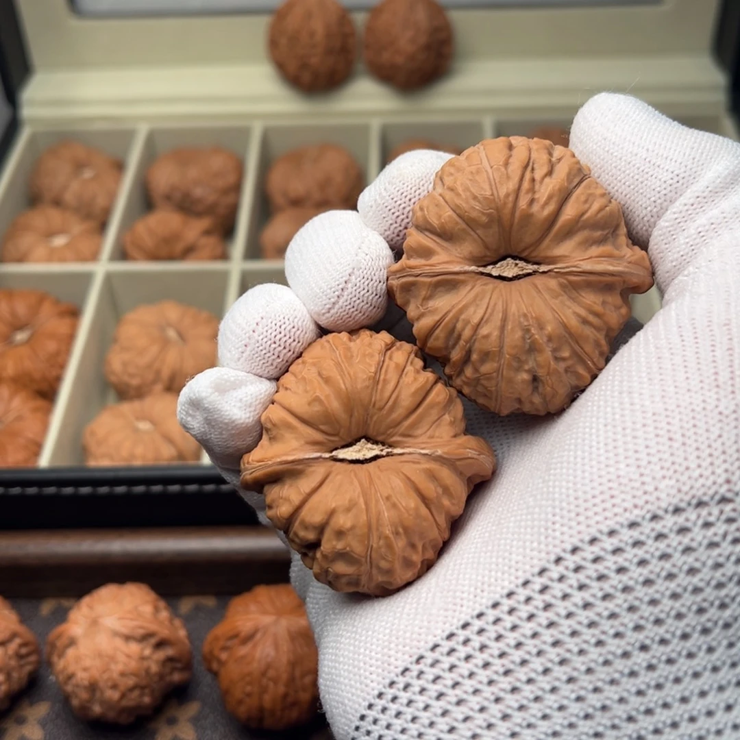 一***叽50南瓜墩 文玩核桃46 7一只