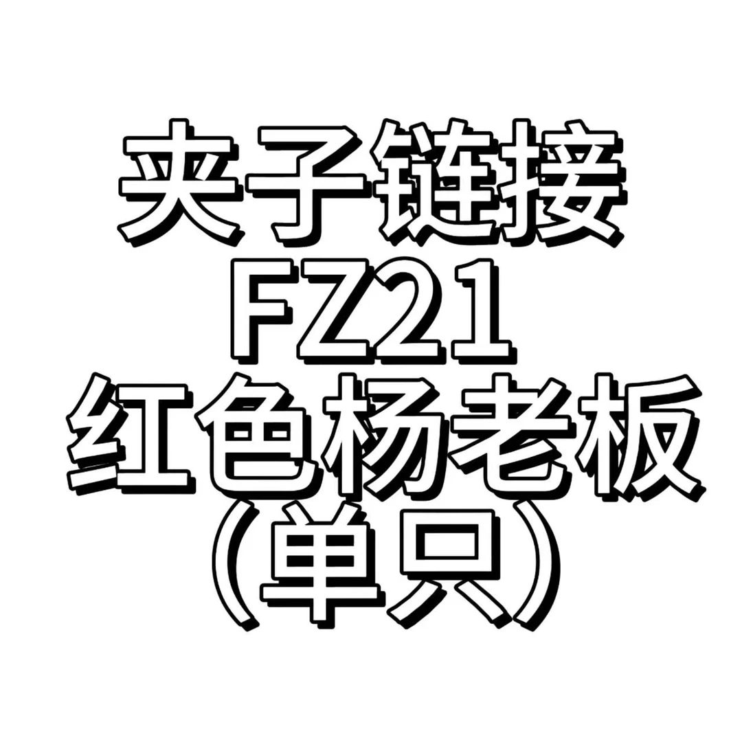 FZ21【醋酸皮质鸭嘴bb夹】单只售卖