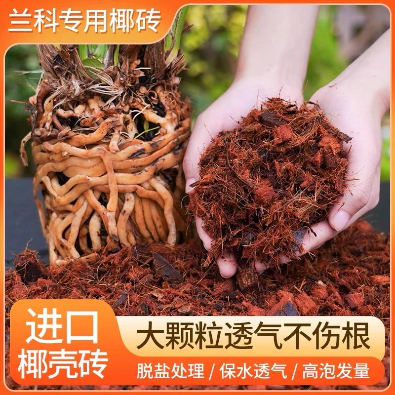 粗椰壳砖椰砖种植适用君子兰兰花专用营养土园艺椰土椰粉500克1块