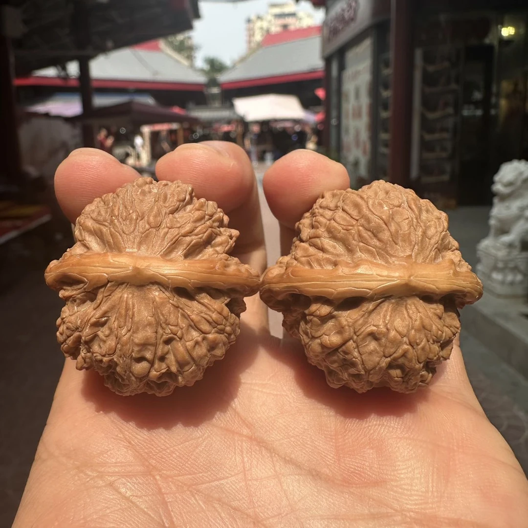【地主专属】27 G71173-核中贵族血麒麟-多样性发其一-37-38mm