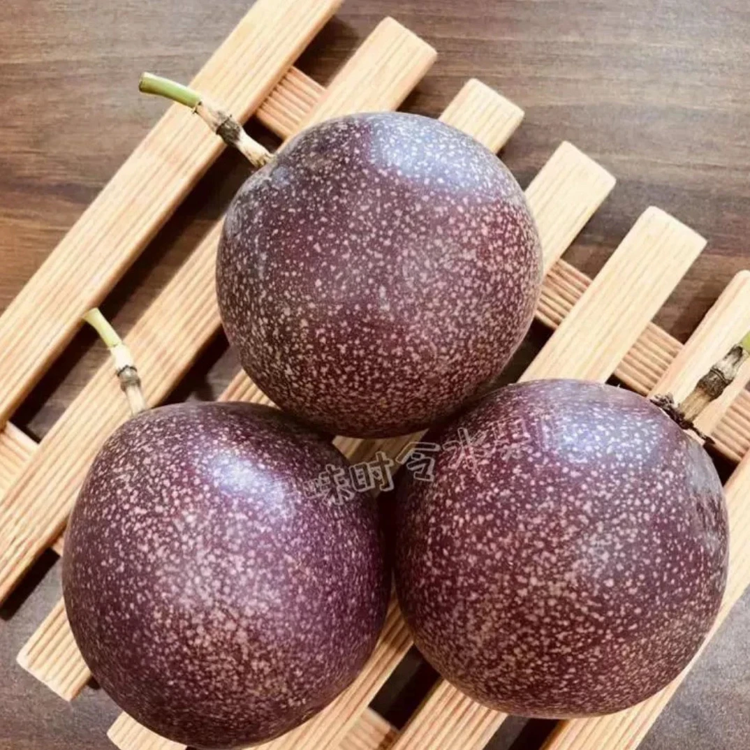 老牛优选 满天星百香果 1件2斤 吸着吃的百香果 快递包邮