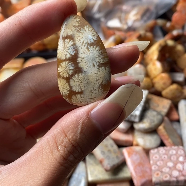 桃***哟颈饰未镶嵌硅化珊瑚（珊瑚玉）