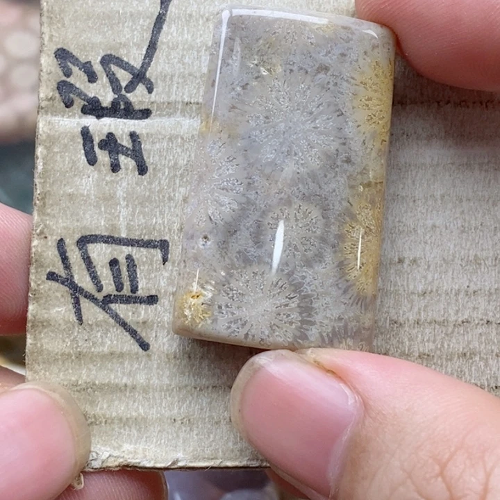 硅化珊瑚（珊瑚玉）未镶嵌颈饰小****1小吊坠