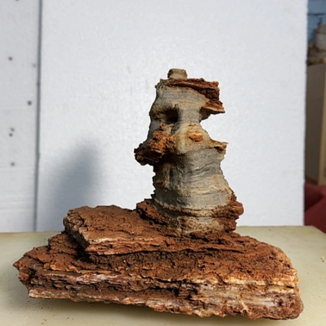 【闪购商品】香榧木漳****）这么大这么怎么的了哈咯