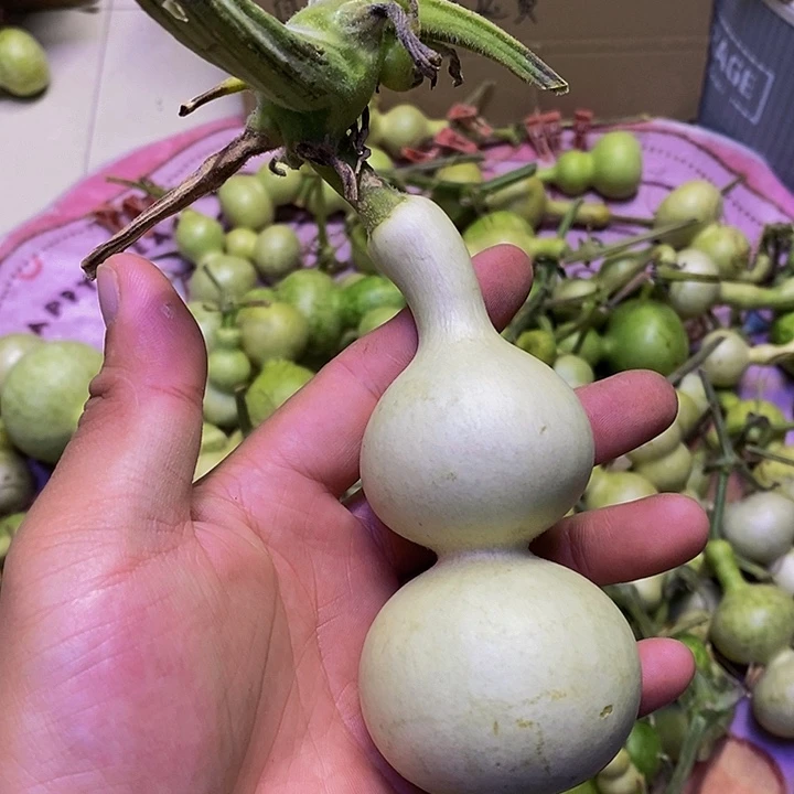 ✨****6长嘴哈哈哈哈哈哈哈哈哈哈哈好