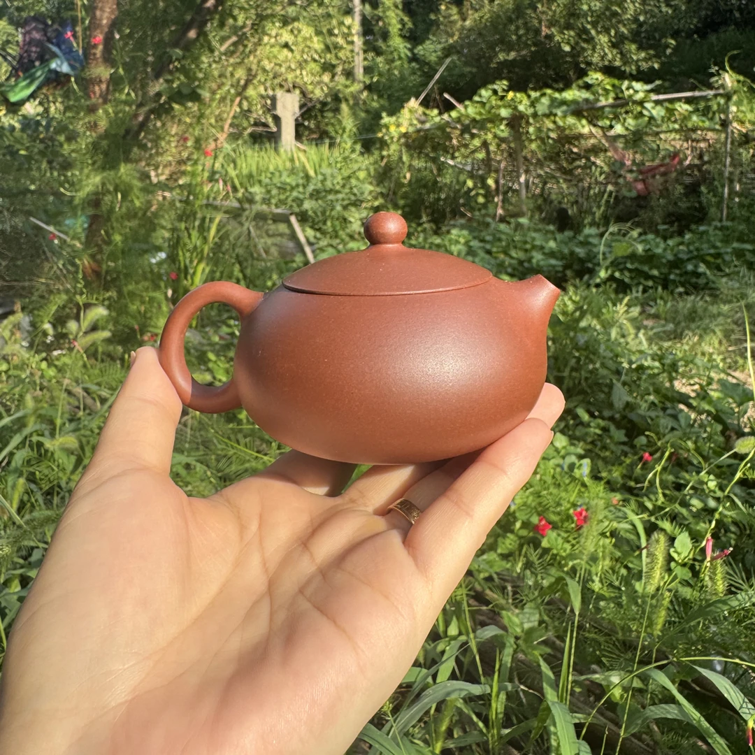 ［恒砂］宜兴原矿紫砂老清水泥精工半手扁西施壶约150cc(花泥）