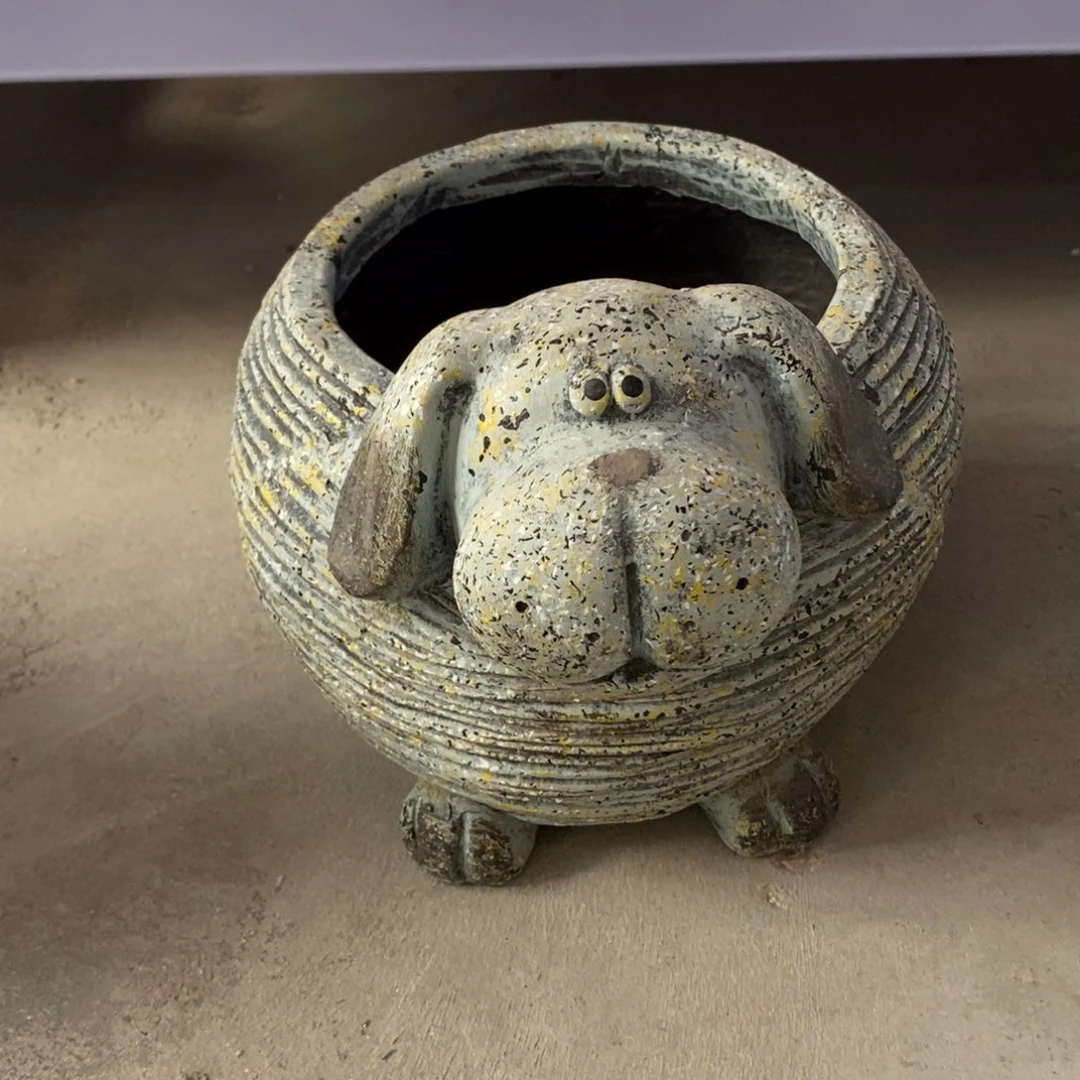 瓷片不退不换看好再拍谢谢