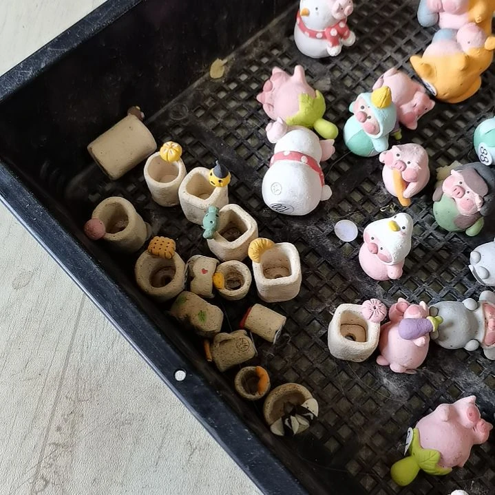 专拍木目花盆勿拍