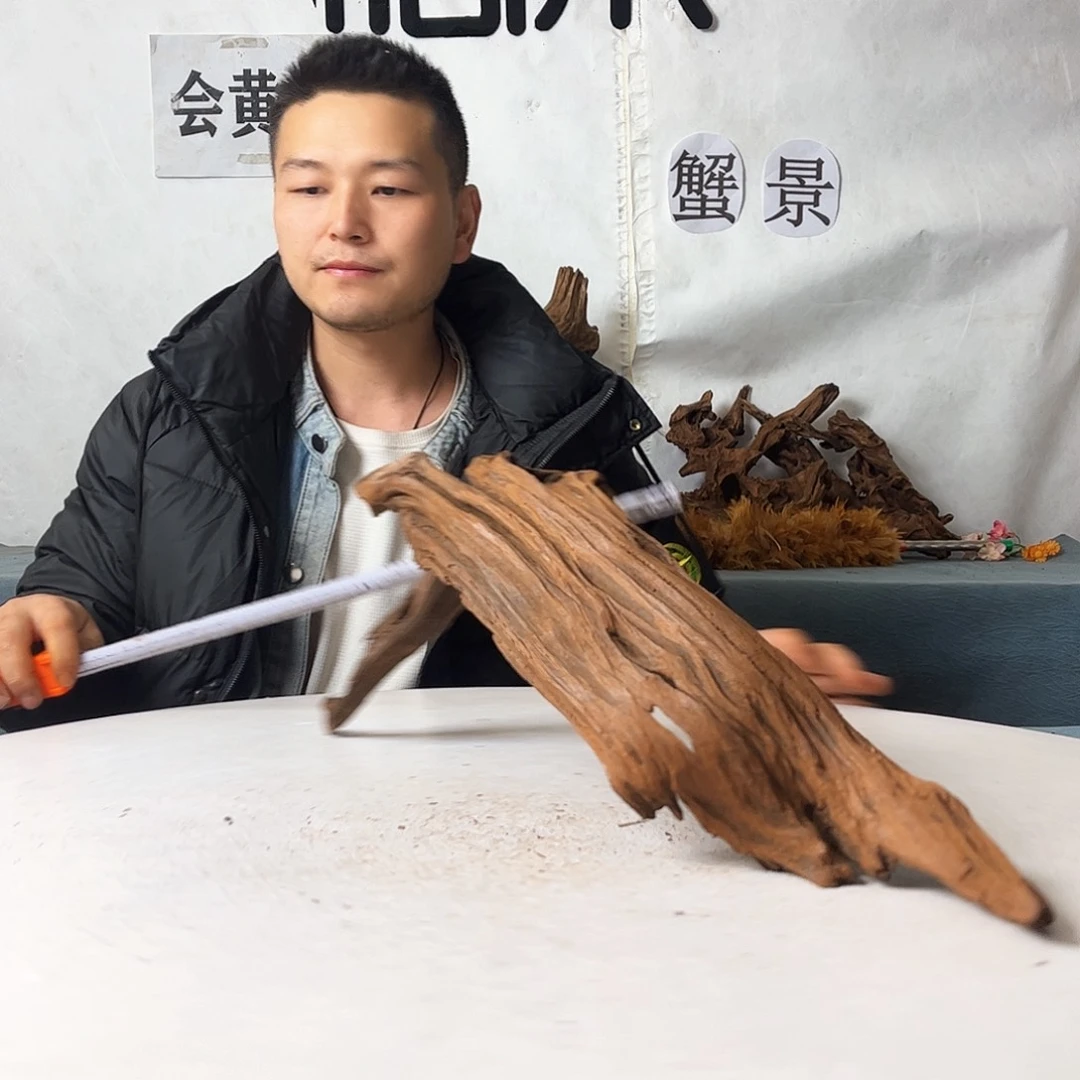 56.20.11 沉木造景寄居蟹造景