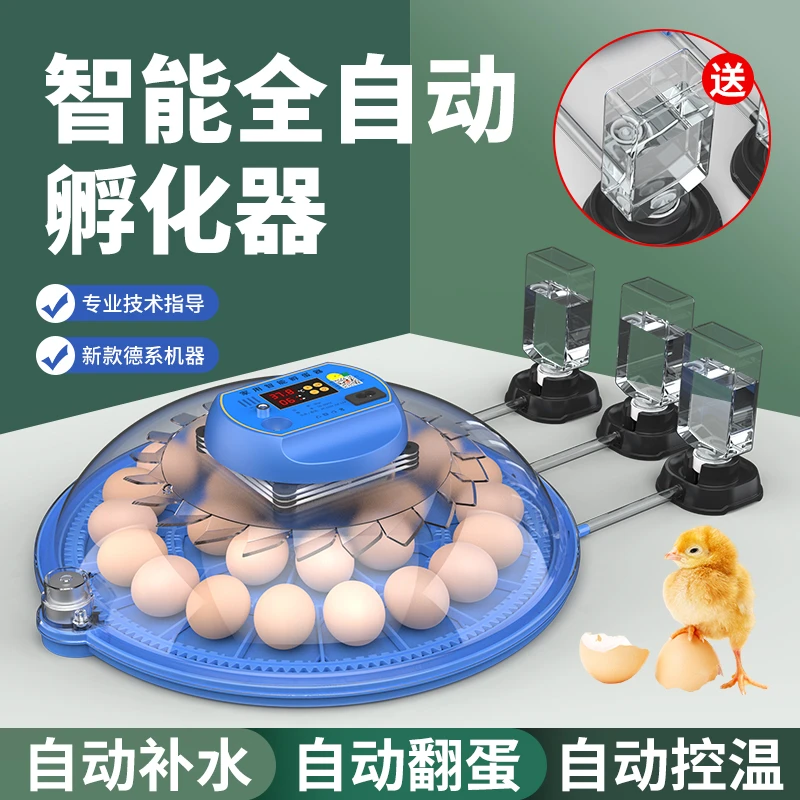 威振【孵化芦丁鸡】智能全自动补水保温鸡鸭鹅鸟蛋孵化机家用孵蛋器