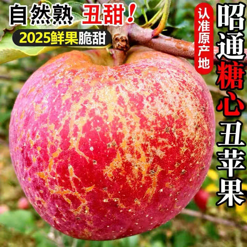 【精品】正宗云南昭通丑苹果 脆甜红富士苹果新鲜现摘当季