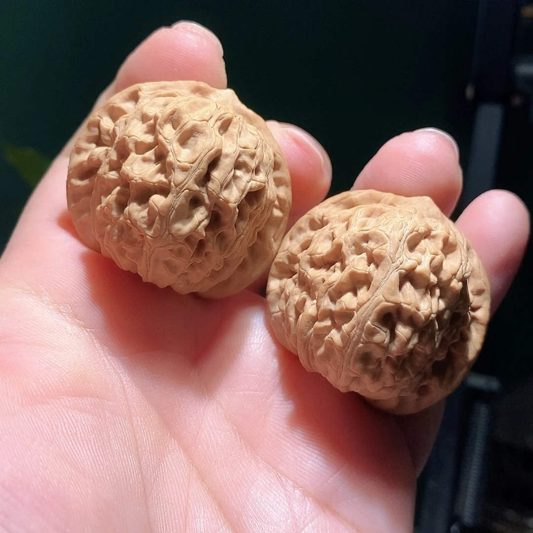 把件文玩核桃40龙脉元宝全品