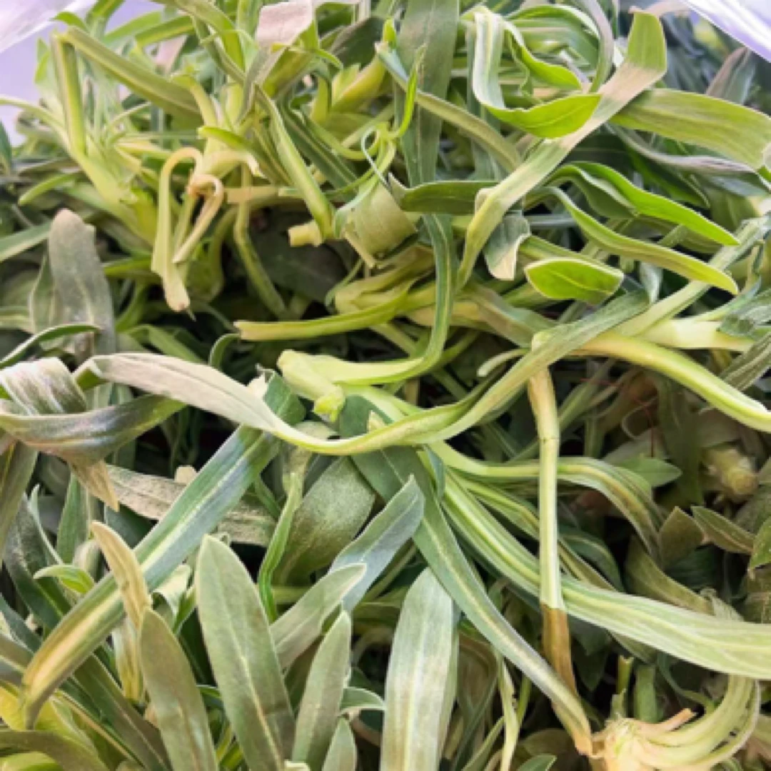 面条菜 1袋（约1500g）