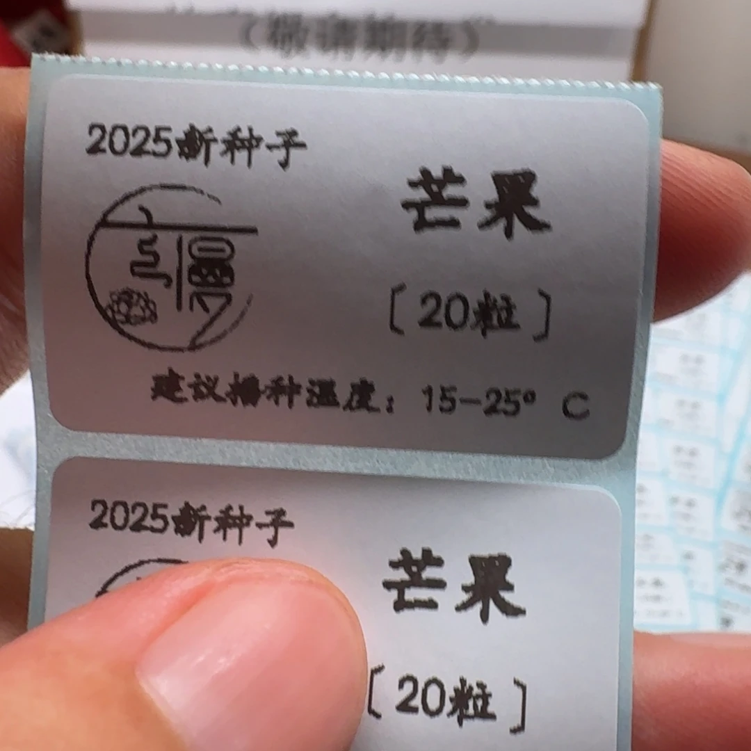如图2025新种子珍妮系芒果20粒