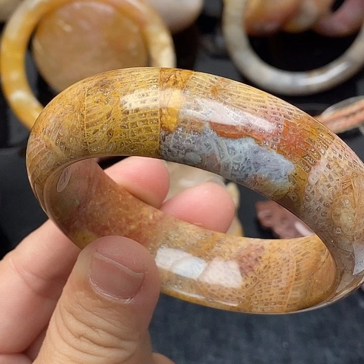 硅化玉未镶嵌颈饰57.5