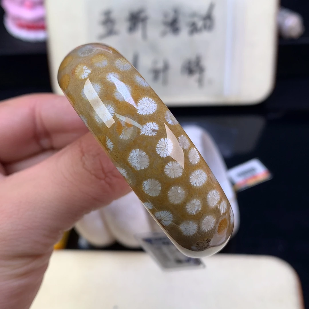 硅化珊瑚（珊瑚玉）未镶嵌颈饰51号52.4圈白皮花花