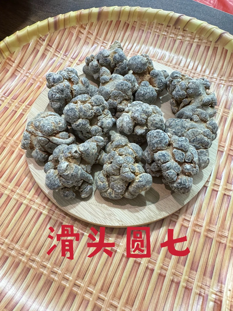 云南文山精品圆形滑头