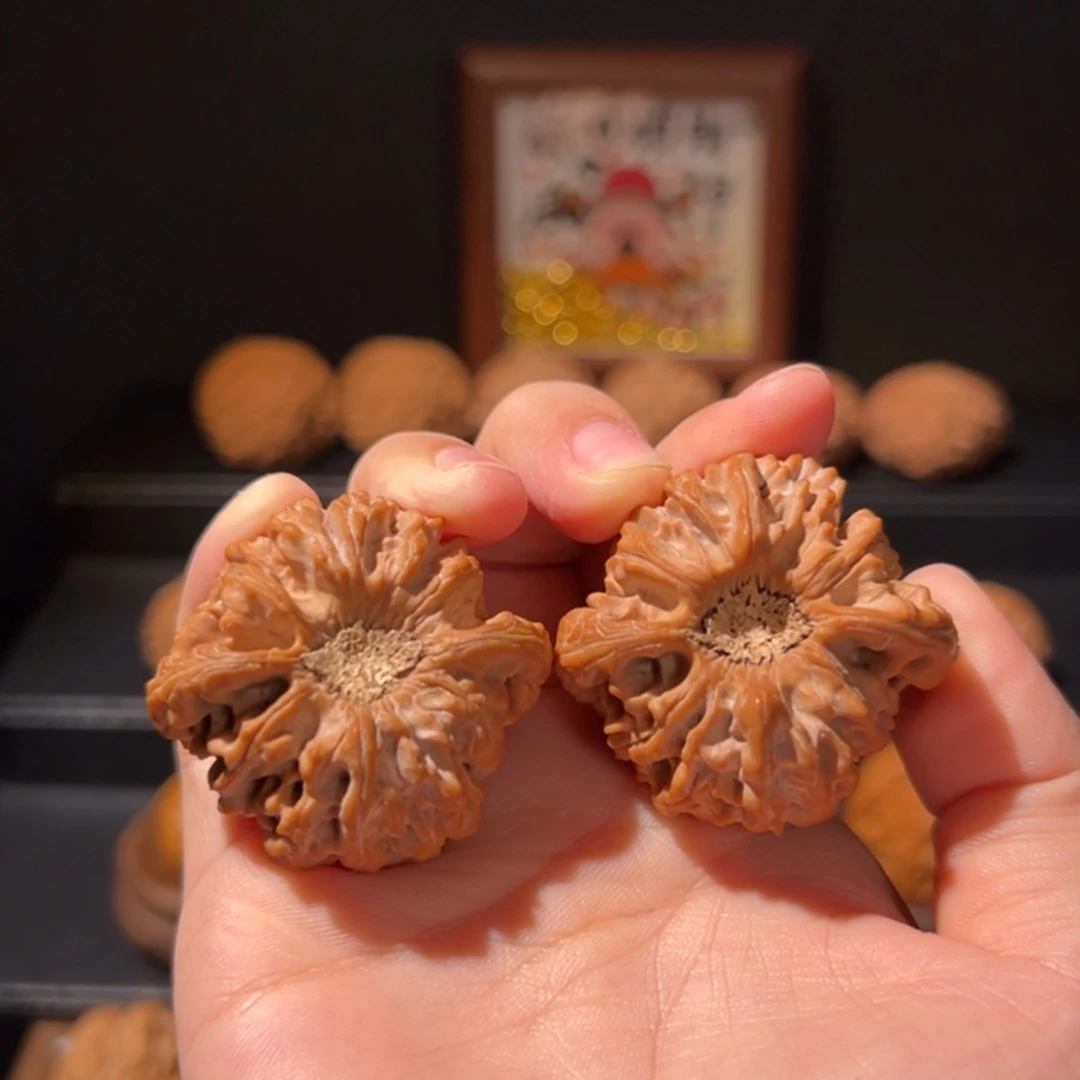 龙门涧陨石坑树王