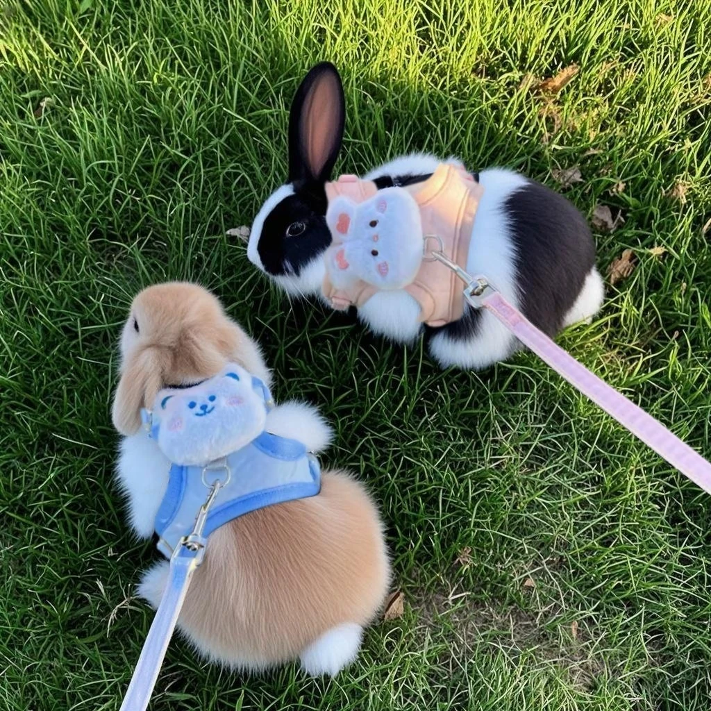 兔子牵引绳防挣脱溜兔绳子外出牵侏儒兔遛兔神器可调节外出用品绳