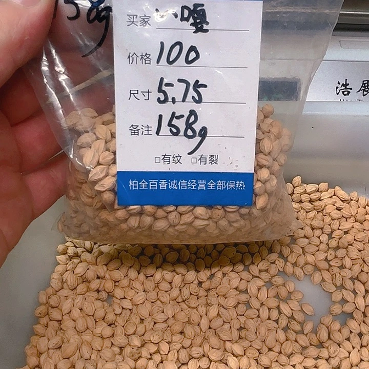~***~柏香籽散子 158 克散子