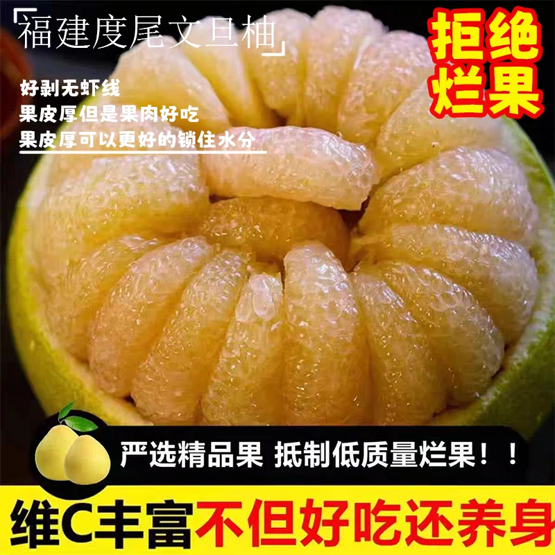 【邮政推荐】福建仙游度尾老树文旦柚当季新鲜现摘现发清甜多汁