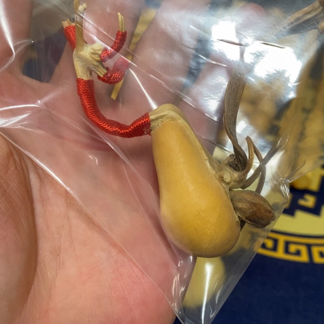 九***司葫芦啊啊啊啊啊啊啊啊啊啊啊啊啊啊