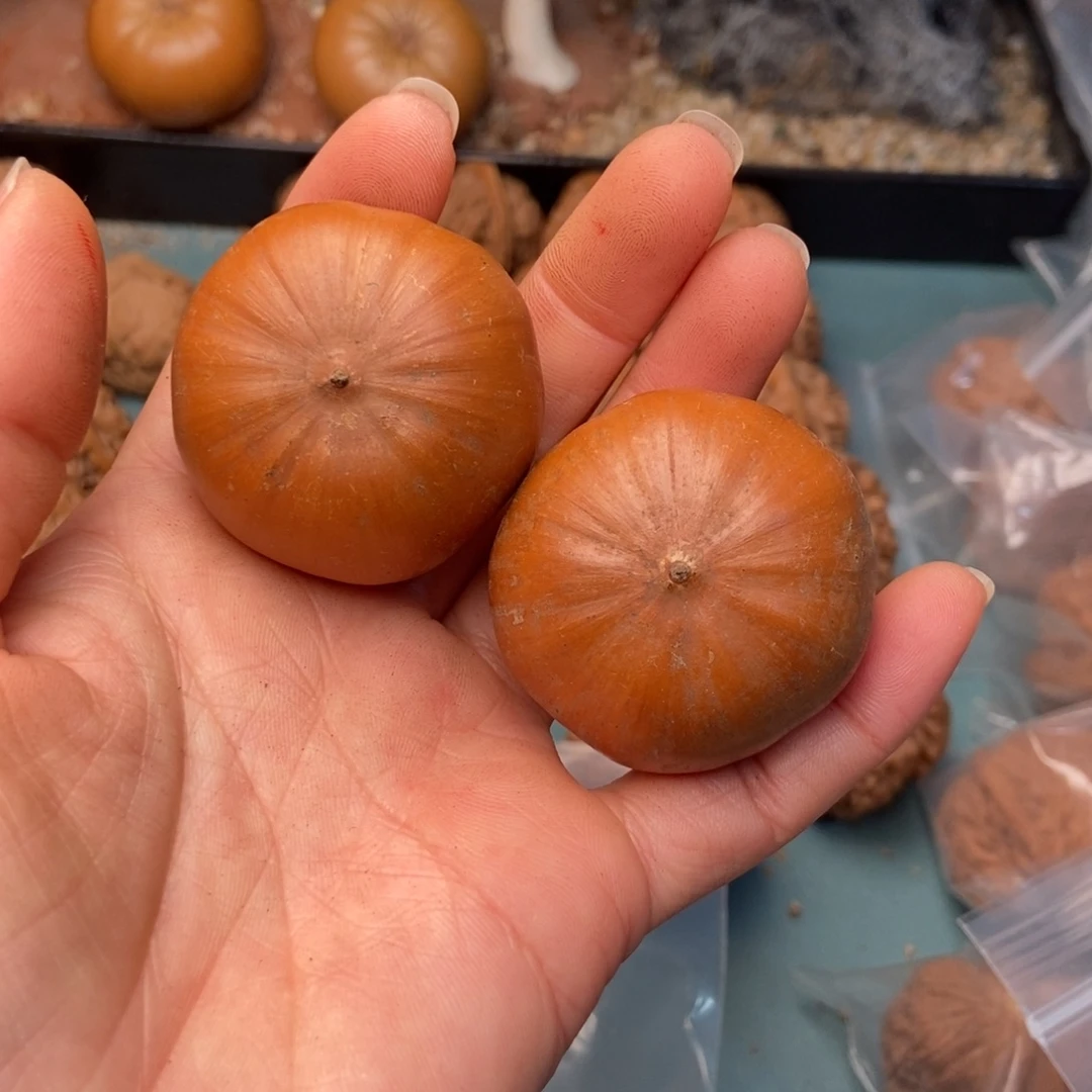 吊坠文玩核桃风流果16