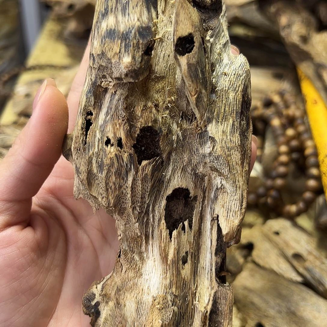 木绿奇楠虫漏原材料70克